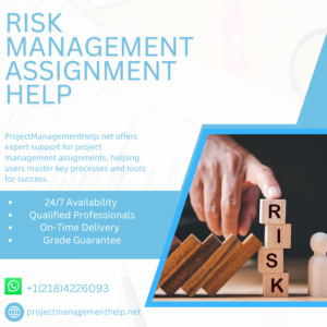 Risk Management Assignment Help